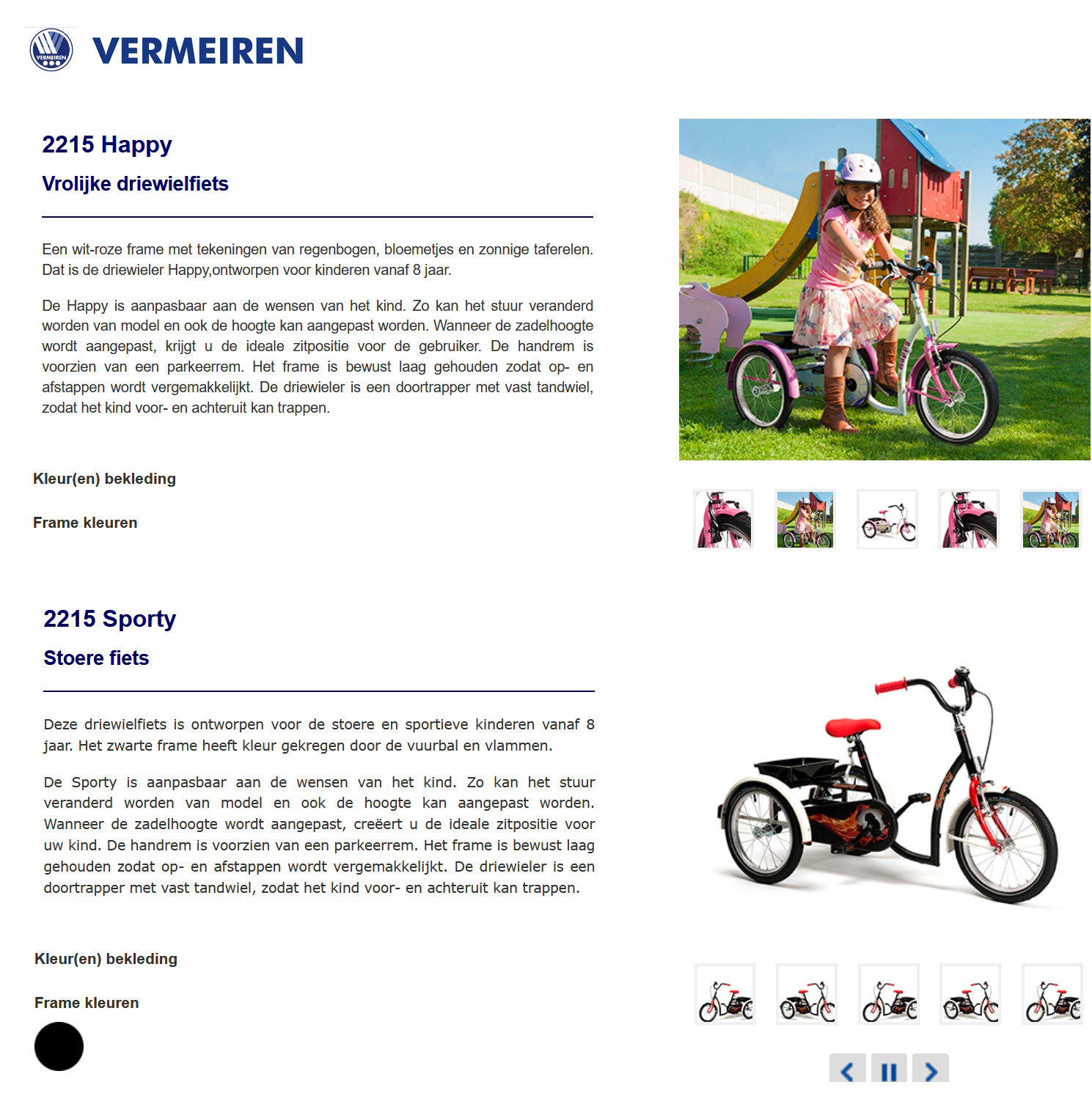 scan van brochure