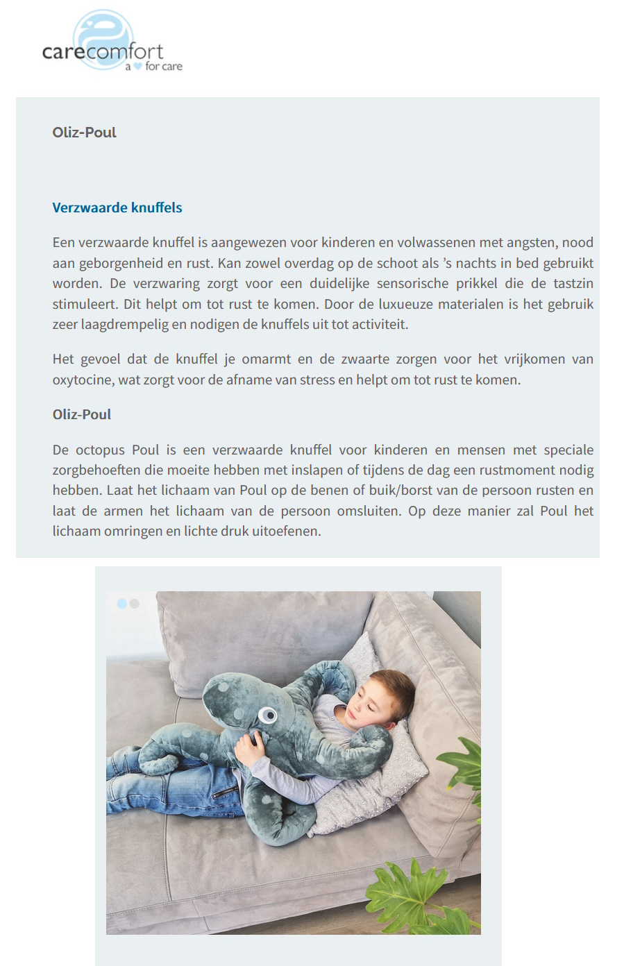scan van brochure