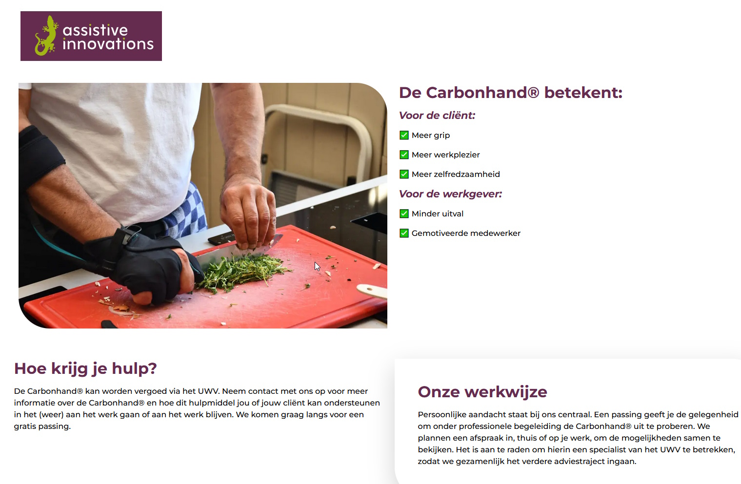 scan van brochure