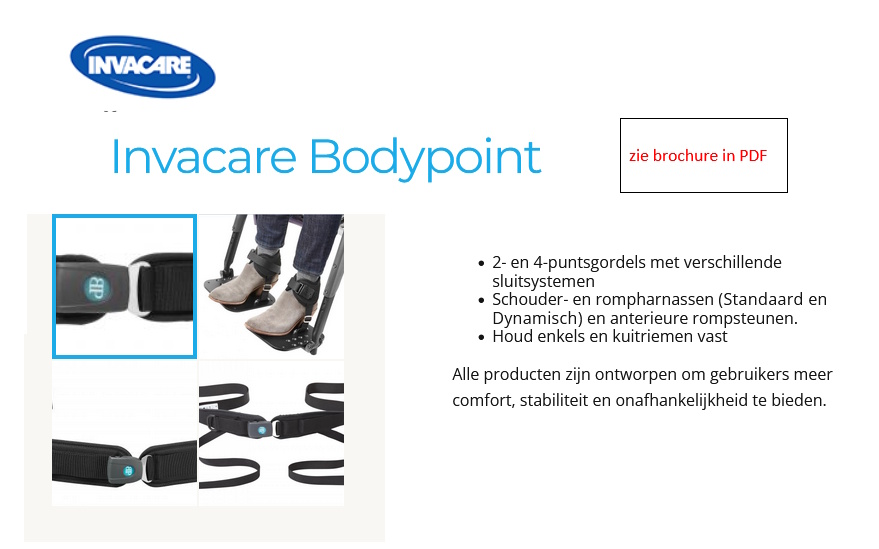 scan van brochure