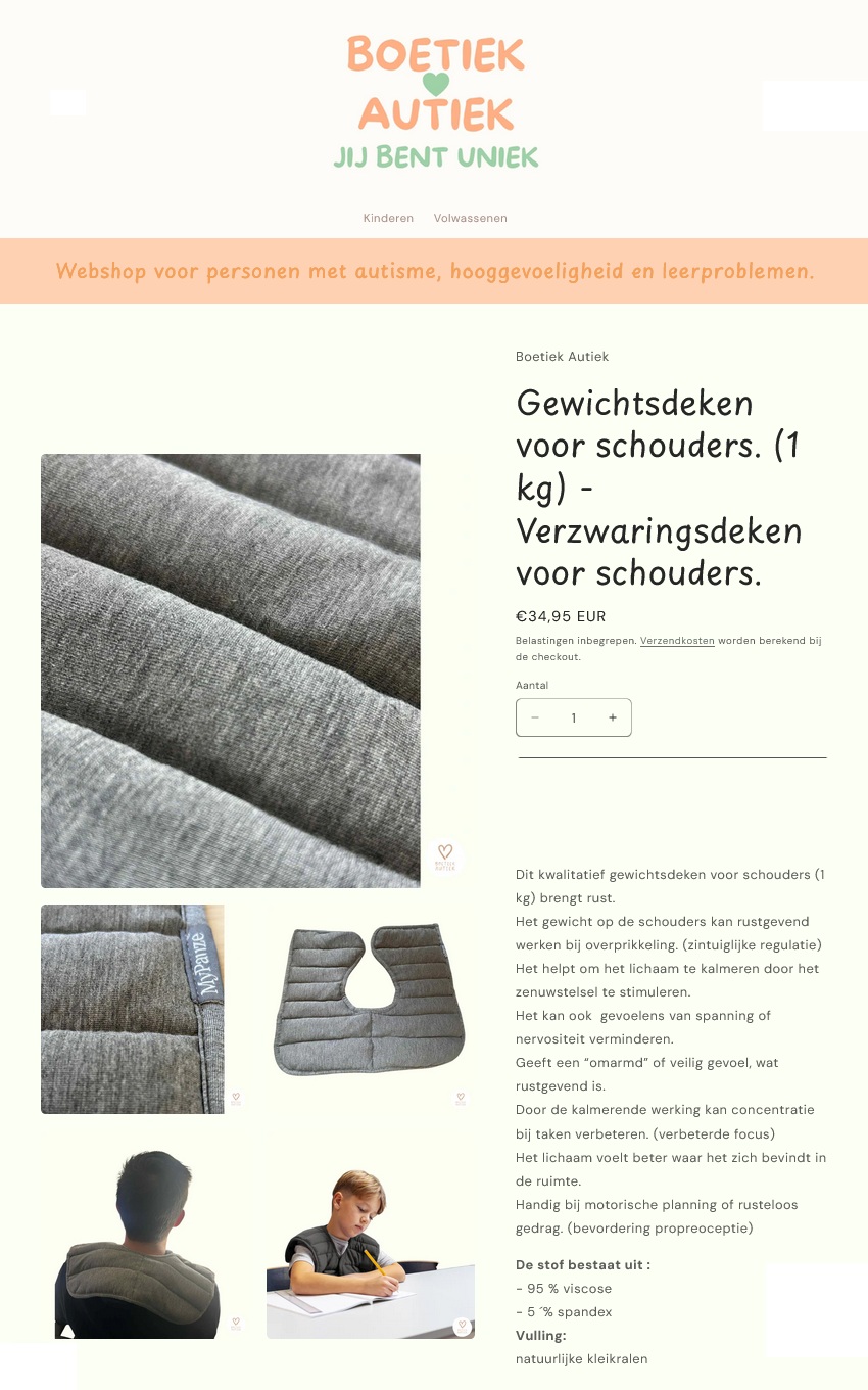 scan van brochure