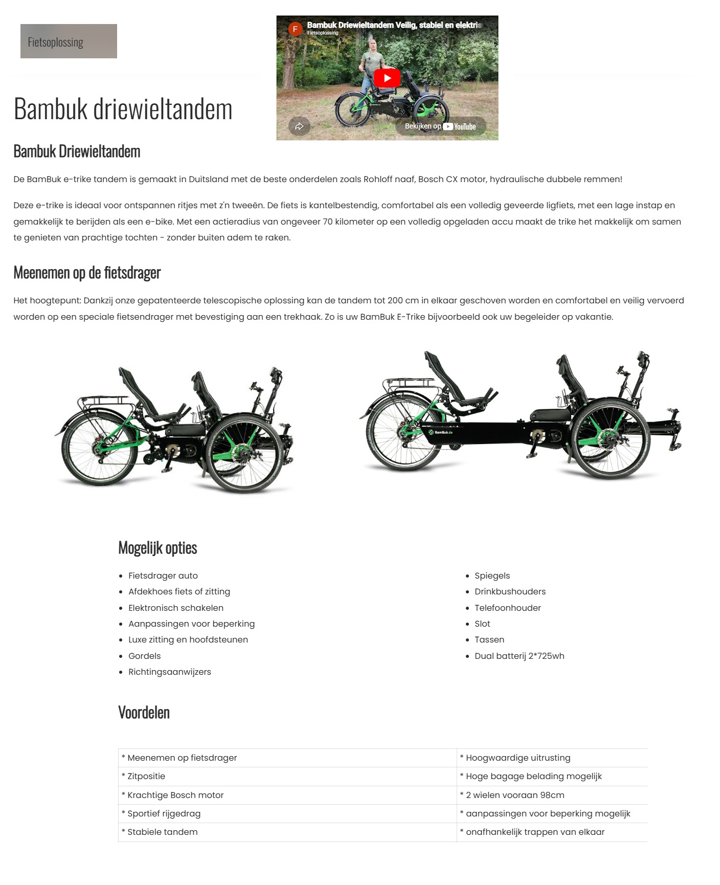 scan van brochure
