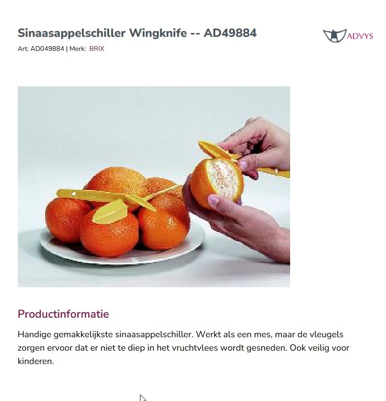 scan van brochure