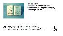 miniatuur van bijgevoegd document 2 van Leerboek, methode om het brailleschrift te vergemakkelijken (FR) 020000089