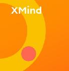 afbeelding van product Xmind mindmap