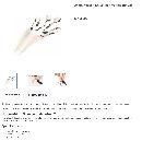 miniatuur van bijgevoegd document 6 van Kousenaantrekker Soxon 020.004
