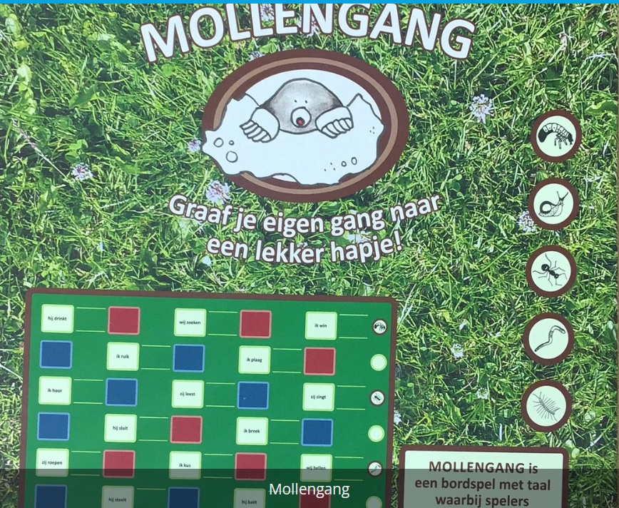 HERSENLETSEL NL Mollengang gezelschapsspel voor mensen met afasie