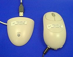 foto van hulpmiddel SAM-draadloze USB muis en switchinterface