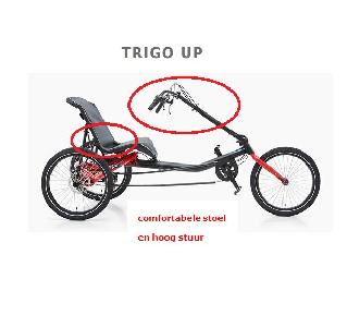 HASE Trigo Up E
