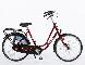 AZOR BIKE Fiets kleine wielen Azor Petit / Elberg