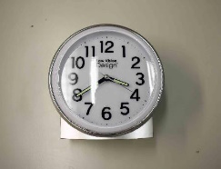 SLECHTZIENDNL Nederlands sprekende wekker met wijzerplaat