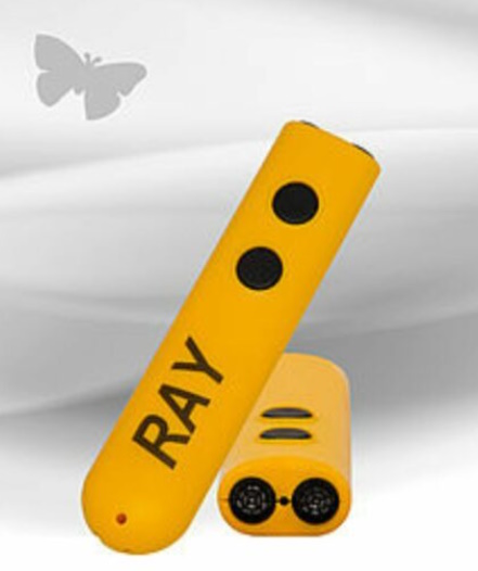 CARETEC Ray Obstakelherkenner