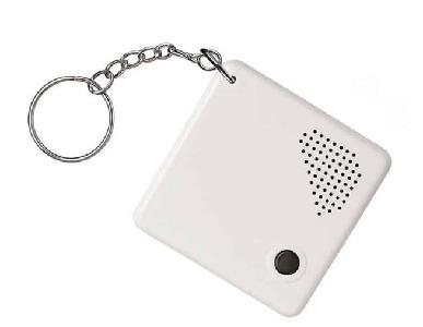 Nederlands sprekende sleutelhanger met tijd, datum en 1 alarm