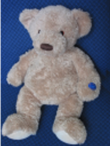 VAN HERCK Arthur Muzikale teddybeer